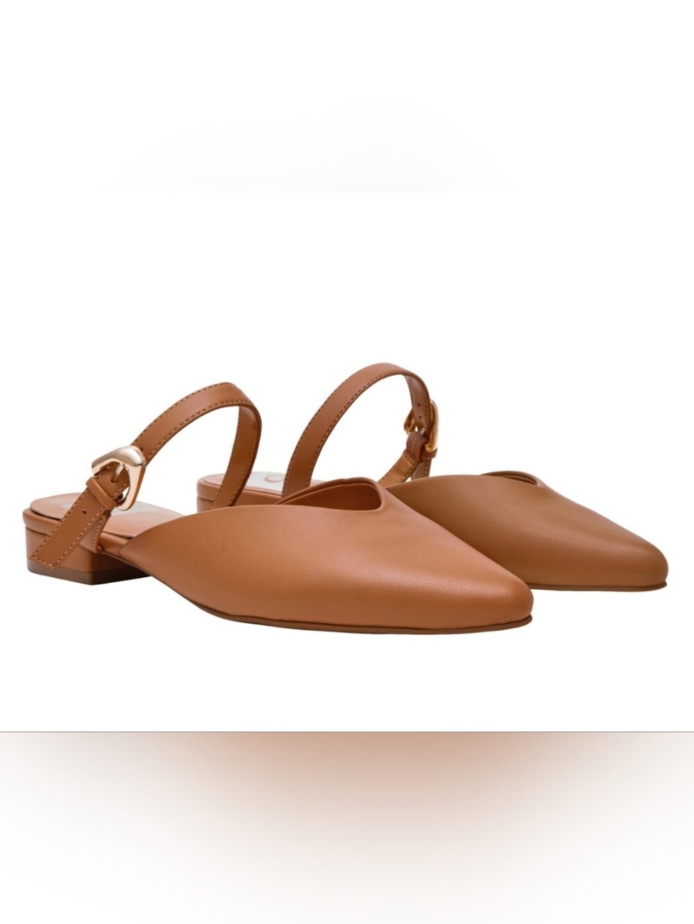 (6)DV by Dolce Vita Ladies Pointed Slingback Mules